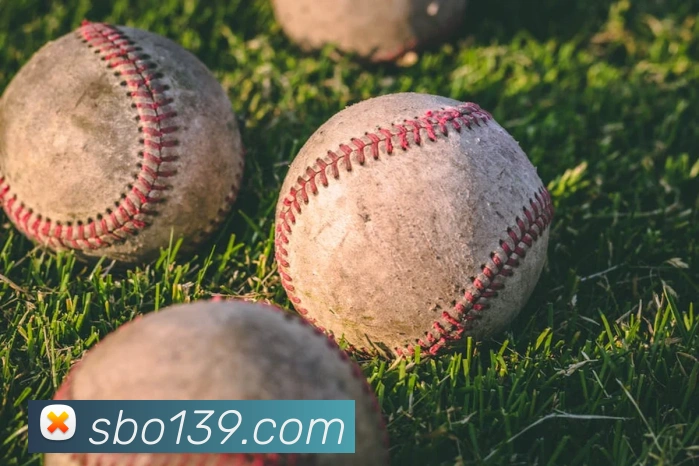 sunbet申博官网APP 封面图